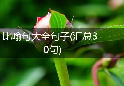比喻句大全句子(汇总30句)