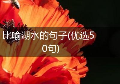 比喻湖水的句子(优选50句)