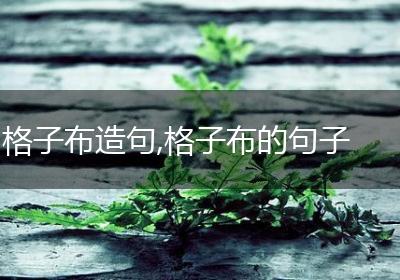 格子布造句,格子布的句子
