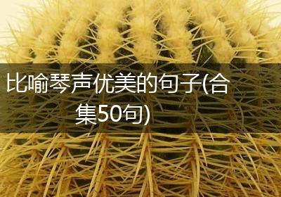 比喻琴声优美的句子(合集50句)
