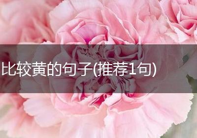 比较黄的句子(推荐1句)