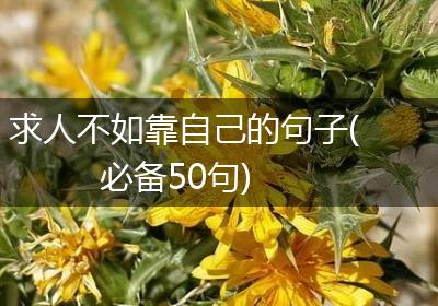 求人不如靠自己的句子(必备50句)