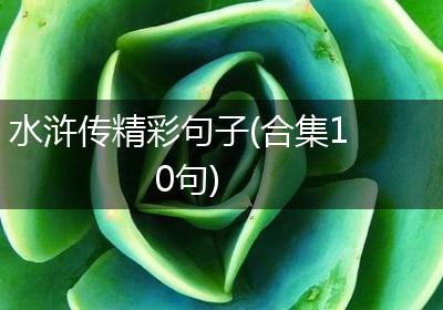 水浒传精彩句子(合集10句)