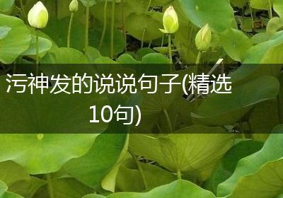 污神发的说说句子(精选10句)