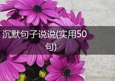 沉默句子说说(实用50句)