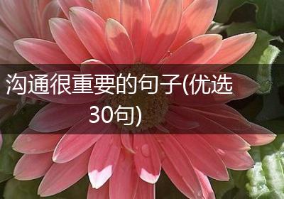 沟通很重要的句子(优选30句)