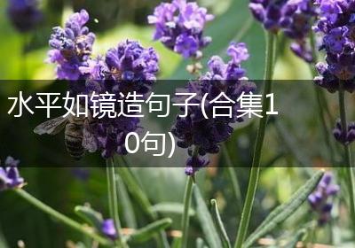 水平如镜造句子(合集10句)