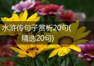 水浒传句子赏析20句(精选20句)