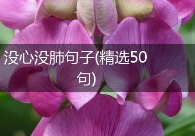 没心没肺句子(精选50句)