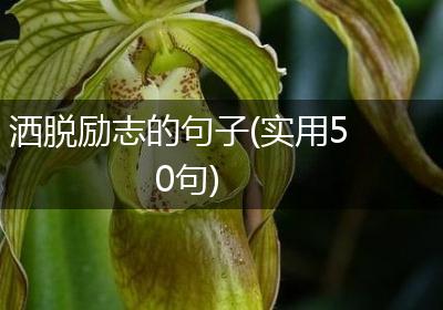 洒脱励志的句子(实用50句)