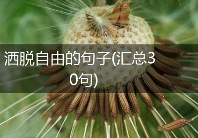 洒脱自由的句子(汇总30句)