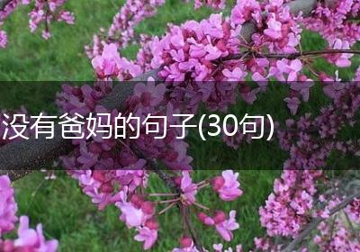 没有爸妈的句子(30句)