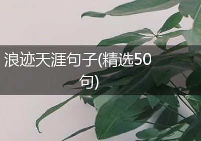 浪迹天涯句子(精选50句)