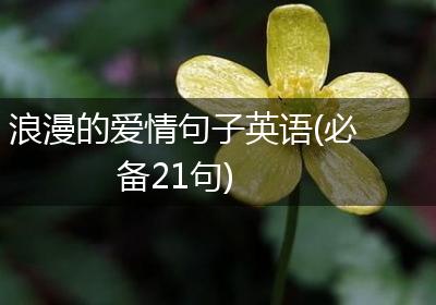 浪漫的爱情句子英语(必备21句)