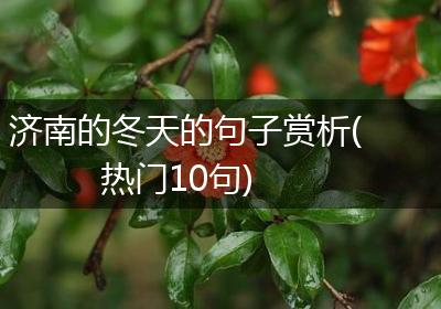 济南的冬天的句子赏析(热门10句)