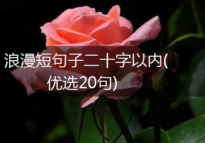 浪漫短句子二十字以内(优选20句)