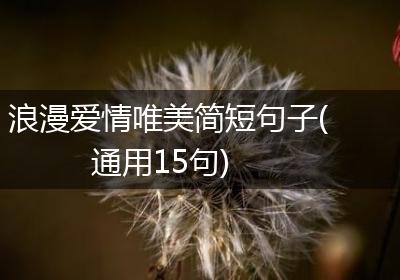 浪漫爱情唯美简短句子(通用15句)