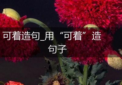 可着造句_用“可着”造句子