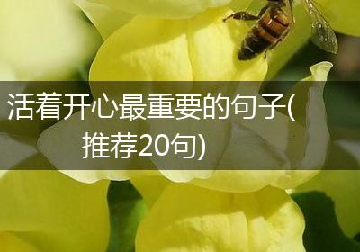 活着开心最重要的句子(推荐20句)
