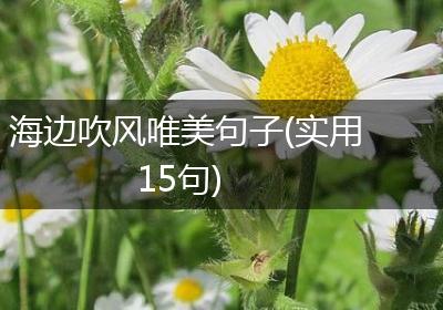 海边吹风唯美句子(实用15句)