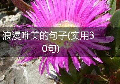 浪漫唯美的句子(实用30句)