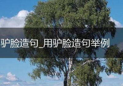 驴脸造句_用驴脸造句举例