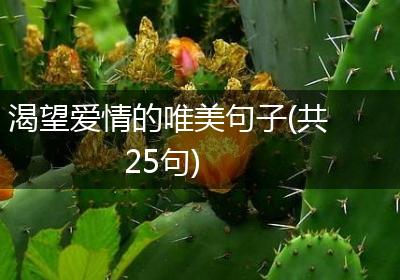 渴望爱情的唯美句子(共25句)