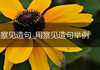 察见造句_用察见造句举例