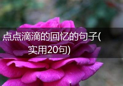 点点滴滴的回忆的句子(实用20句)