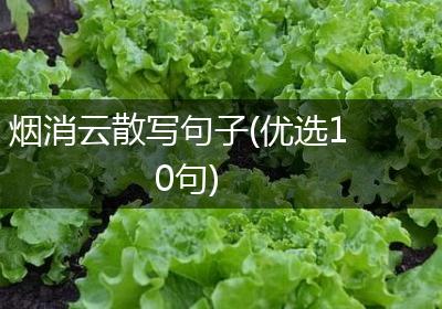 烟消云散写句子(优选10句)
