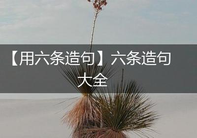 【用六条造句】六条造句大全