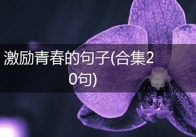 激励青春的句子(合集20句)