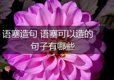 语塞造句 语塞可以造的句子有哪些