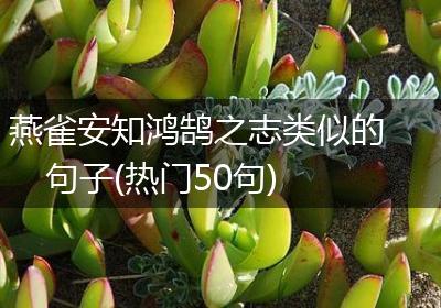 燕雀安知鸿鹄之志类似的句子(热门50句)