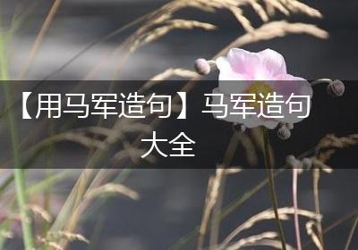 【用马军造句】马军造句大全