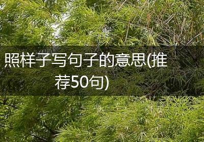 照样子写句子的意思(推荐50句)