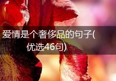 爱情是个奢侈品的句子(优选46句)