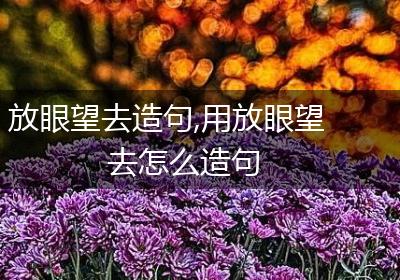 放眼望去造句,用放眼望去怎么造句