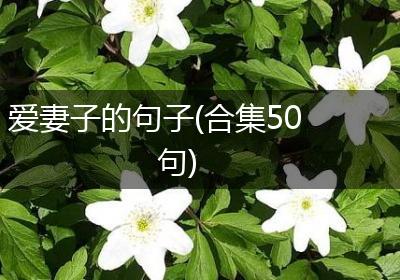 爱妻子的句子(合集50句)