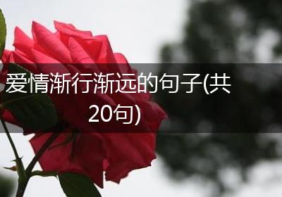 爱情渐行渐远的句子(共20句)