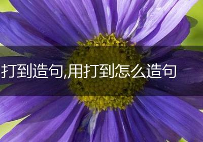 打到造句,用打到怎么造句