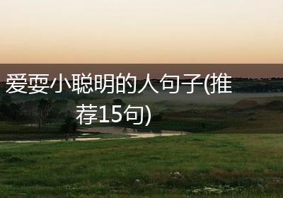 爱耍小聪明的人句子(推荐15句)