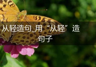 从轻造句_用“从轻”造句子