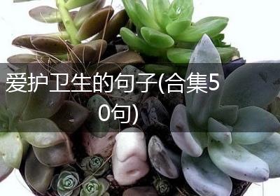 爱护卫生的句子(合集50句)