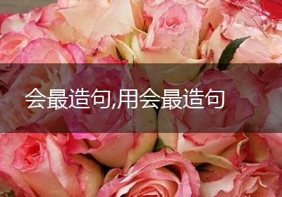 会最造句,用会最造句