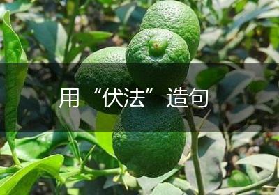 用“伏法”造句