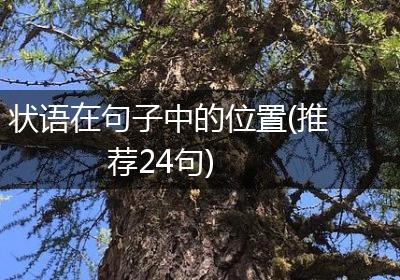 状语在句子中的位置(推荐24句)