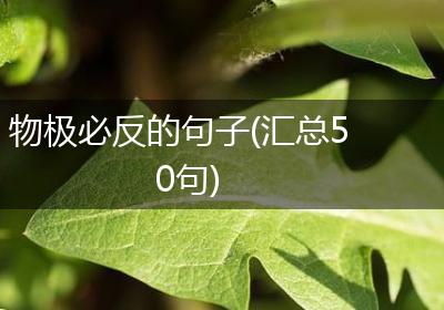 物极必反的句子(汇总50句)