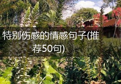 特别伤感的情感句子(推荐50句)