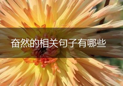 奋然的相关句子有哪些